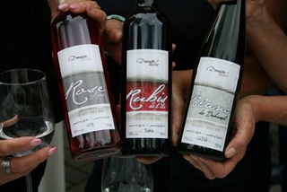 winery in Northern Quebec
