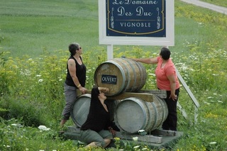 Women group visit winery