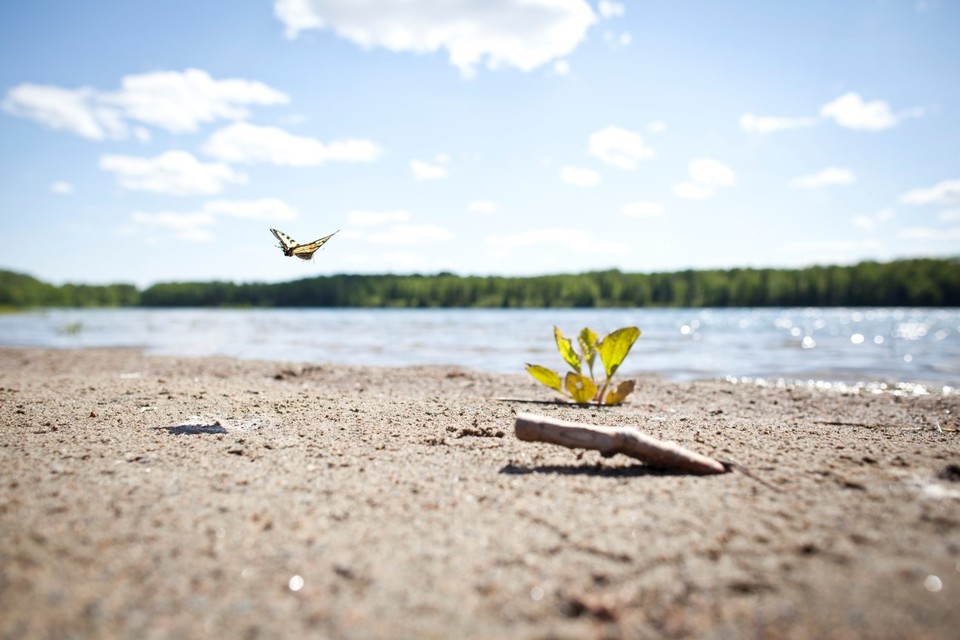 Beaches in Northern Ontario