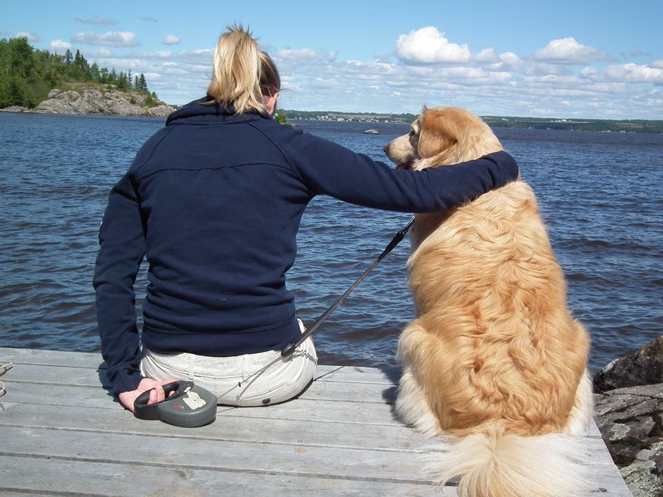 Dog friendly accommodation on Lake Temiskaming