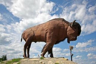 Earlton's Massive Bison Sculpture