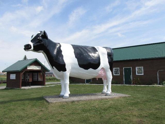 Ms. Claybelt a larger than life statue of a Holstein-Friesian