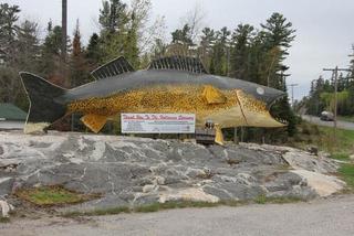 The Marten River Pickerel
