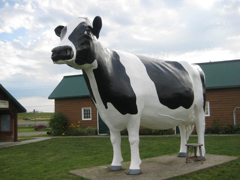 Little Clay Belt Museum