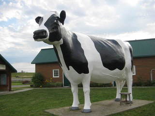 Little Clay Belt Museum