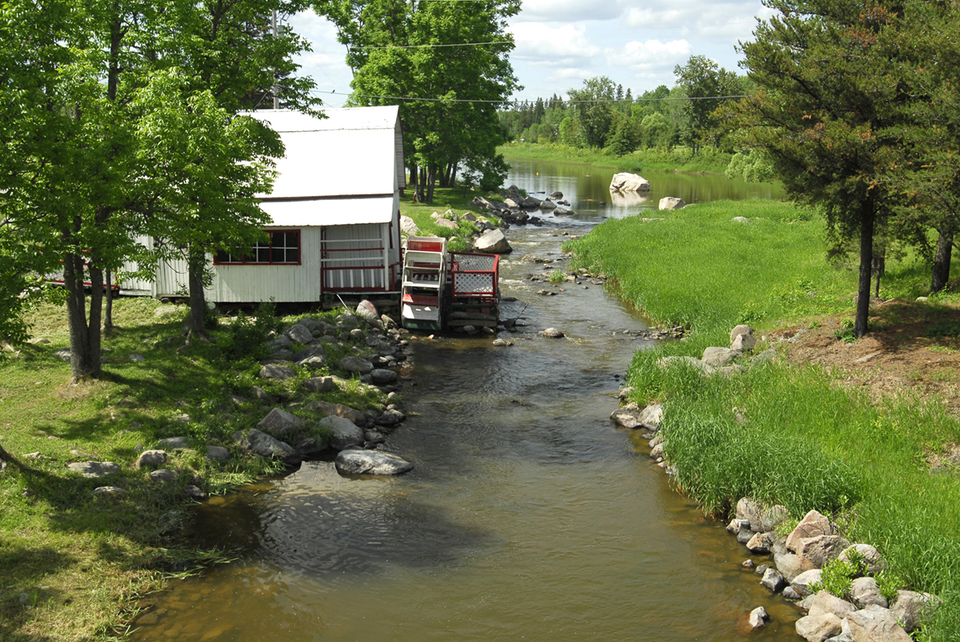 Parc de Rémigny