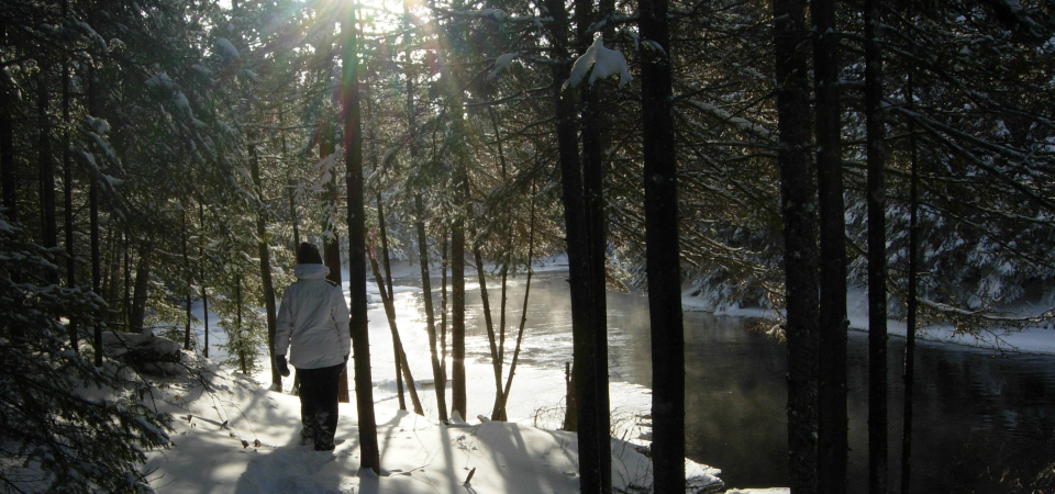 Snowshoeing