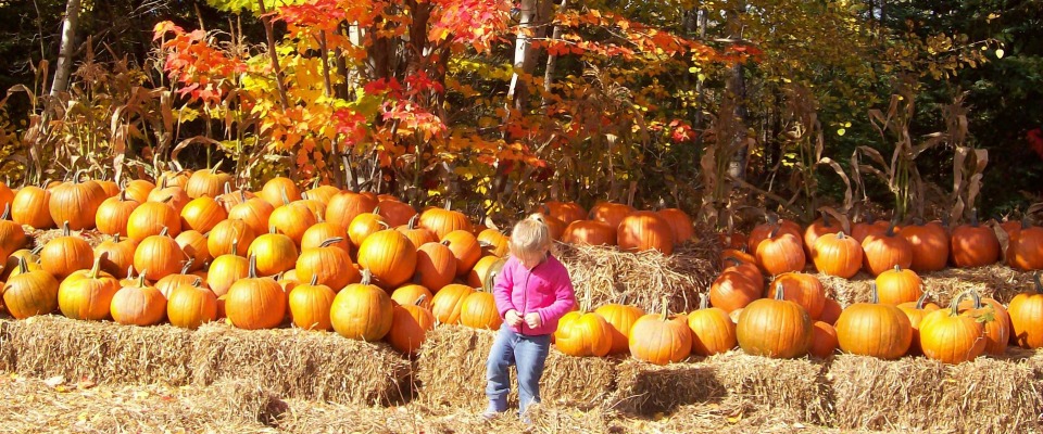 Craig Haven Farms Pumpkin Patch