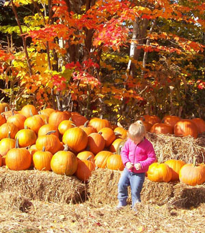 Young girl resting in the pumpkin patch ...